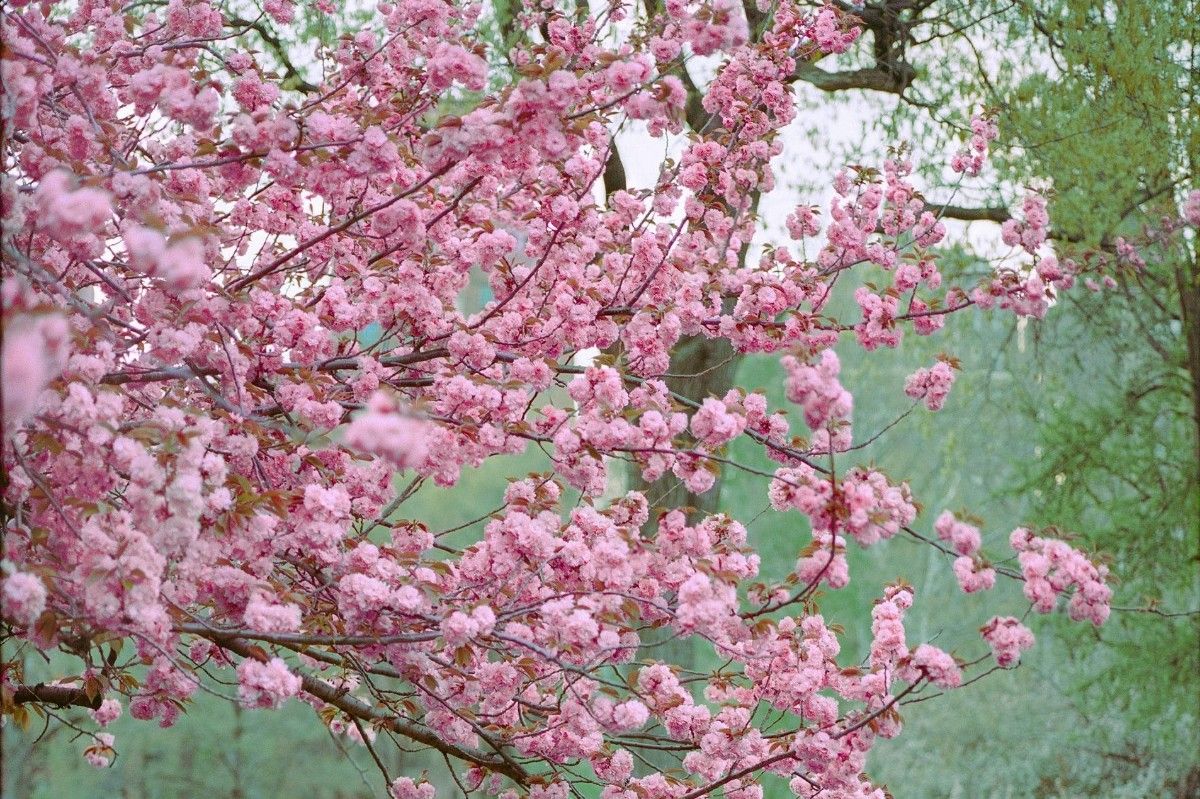 Mexico: Adventure & Relaxation